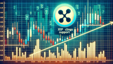How to Track XRP Price UK Trends: Essential Tools
