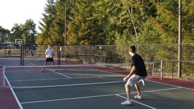 Transforming Golf: The Role of Netting in Competitive Play