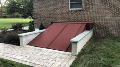 5 Tips for Choosing Basement Cellar Doors